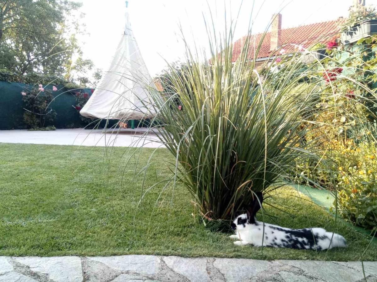 Yard House Trpejca Hotel Ohrid Eksteriør billede